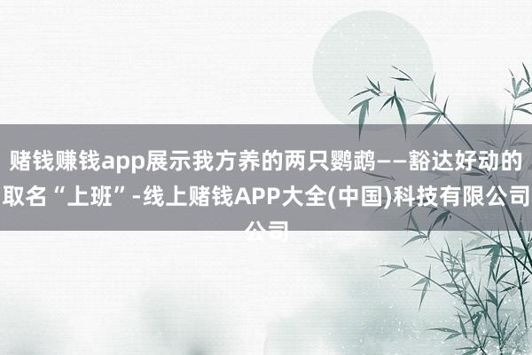 赌钱赚钱app展示我方养的两只鹦鹉——豁达好动的取名“上班”-线上赌钱APP大全(中国)科技有限公司
