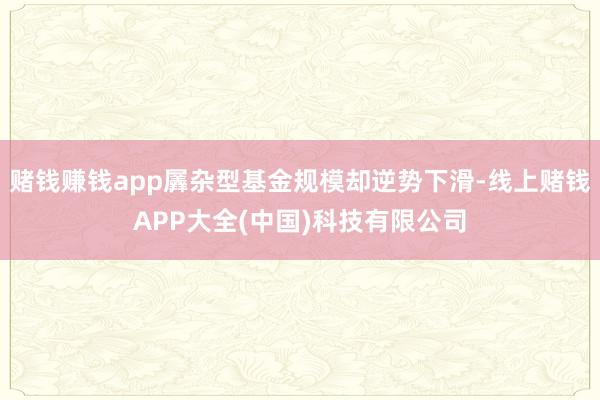 赌钱赚钱app羼杂型基金规模却逆势下滑-线上赌钱APP大全(中国)科技有限公司