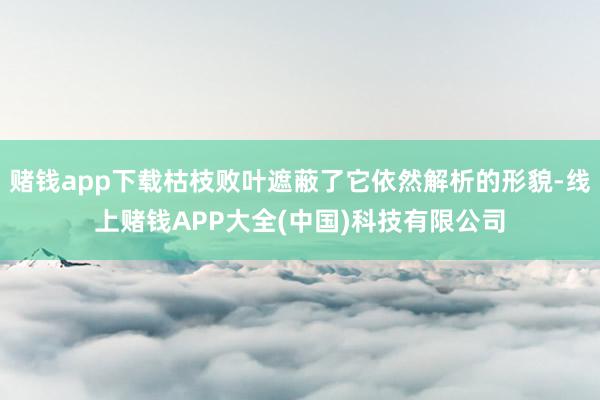 赌钱app下载枯枝败叶遮蔽了它依然解析的形貌-线上赌钱APP大全(中国)科技有限公司